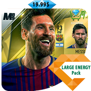LARGE ENERGY PACK